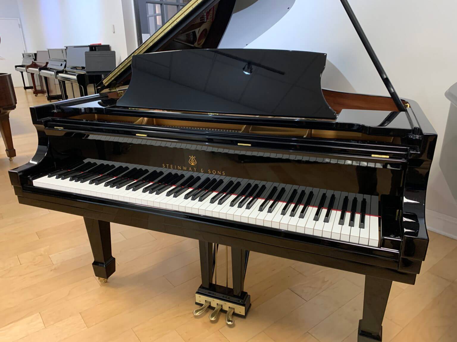 Steinway & Sons Model B 7' Ebony Polish Classic Grand Concert Rental ...