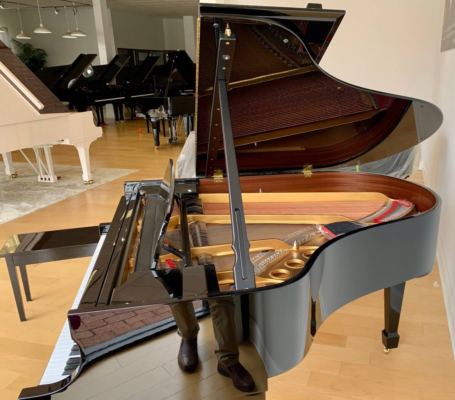 Steinway Rental